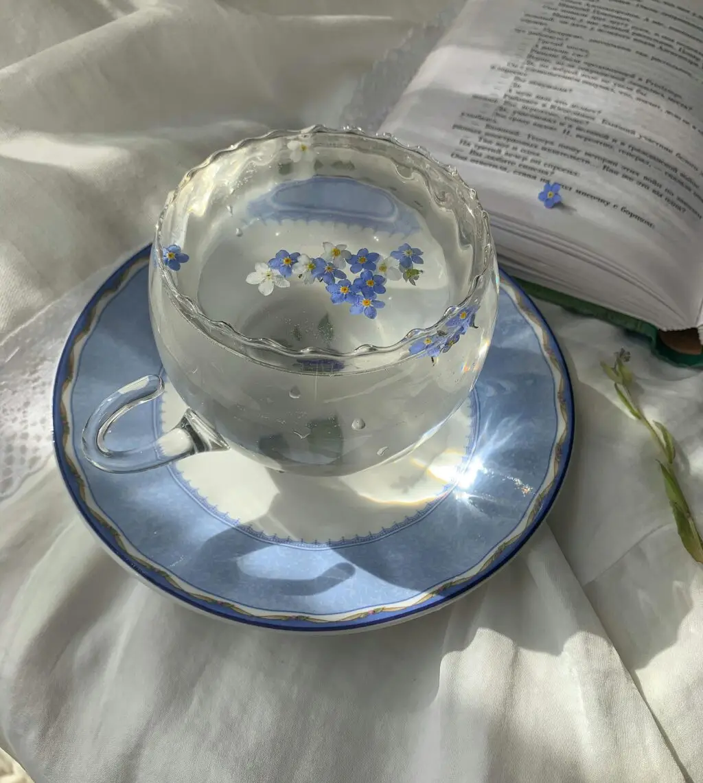 Curious about alkaline water for dogs? Discover the health benefits, safety concerns, and expert advice on giving your furry friend alkaline water. Learn more here.